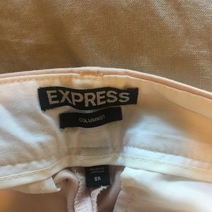 Express Columnist Dress Pants